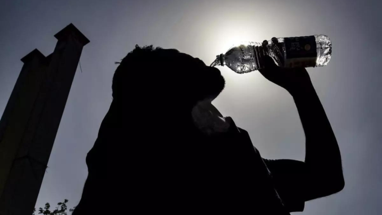 India Experienced 536 Heatwave Days In Summer, Highest In 15 Years: Imd